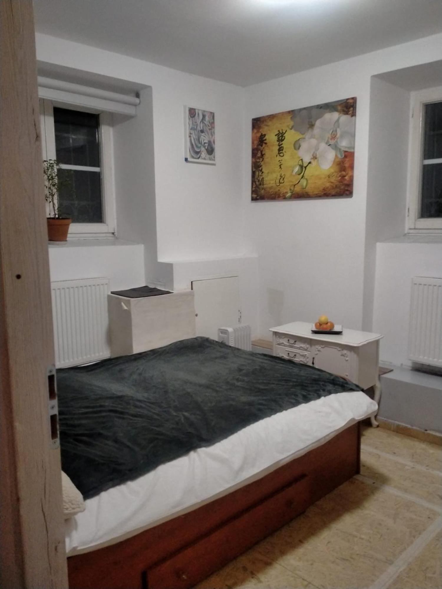 Hostal Lemon Tree Cracovia