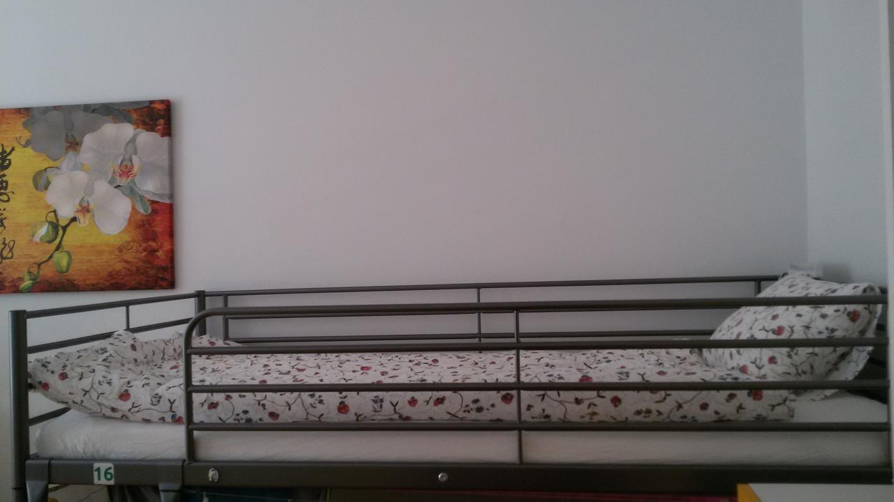 Hostel Lemon Tree